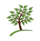 Balance Health and Wellness logo