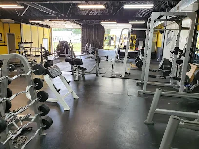 Dedicated Health logo