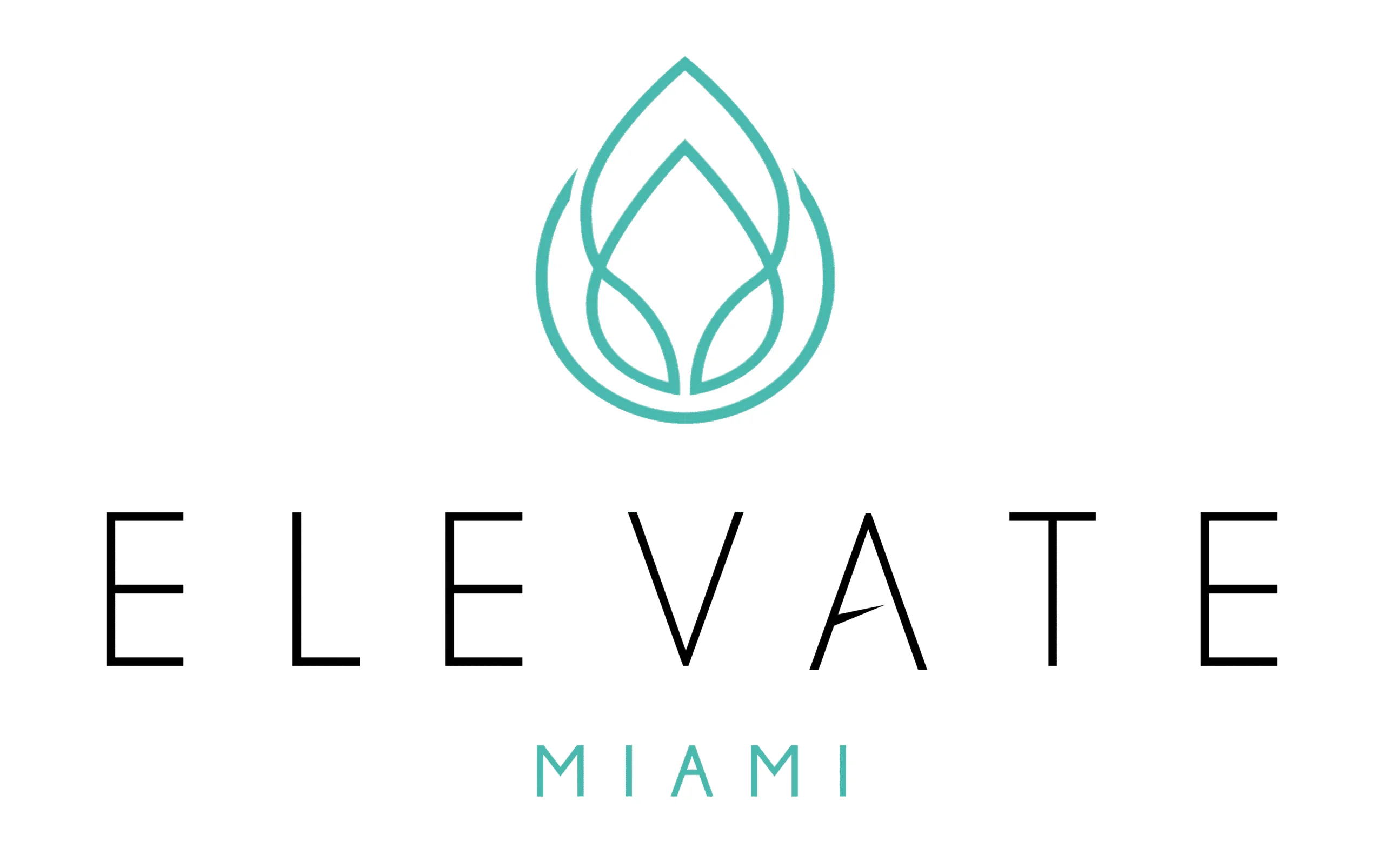 Elevate Miami Wellness & Aesthetics logo