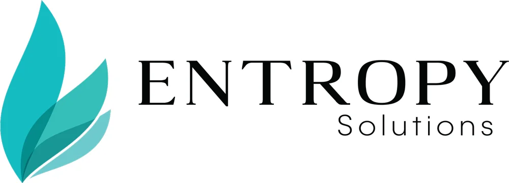 Entropy Solutions Inc logo