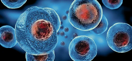 Happy Hormones MD logo