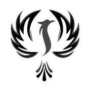 Health Innovations, LLC logo