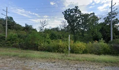 Irina Staicu, MD logo