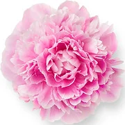 Menopause & Hormone Specialty Center logo