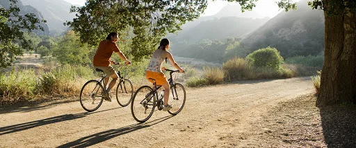 Neighborhood Naturopathic logo