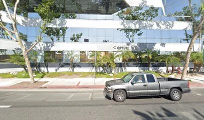 New Body Medical logo