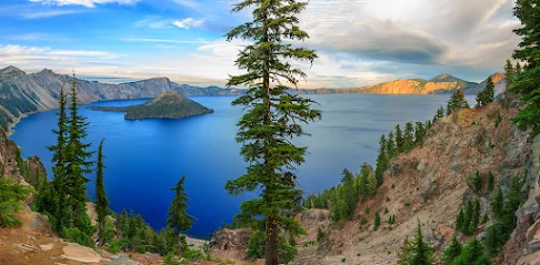 Salem Wellness Clinic logo