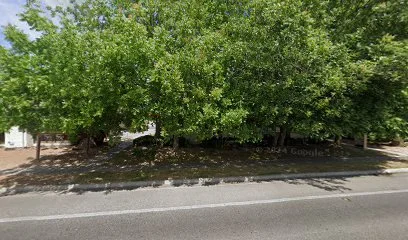 The Allende Centre for Regenerative Medicine & Vitality logo