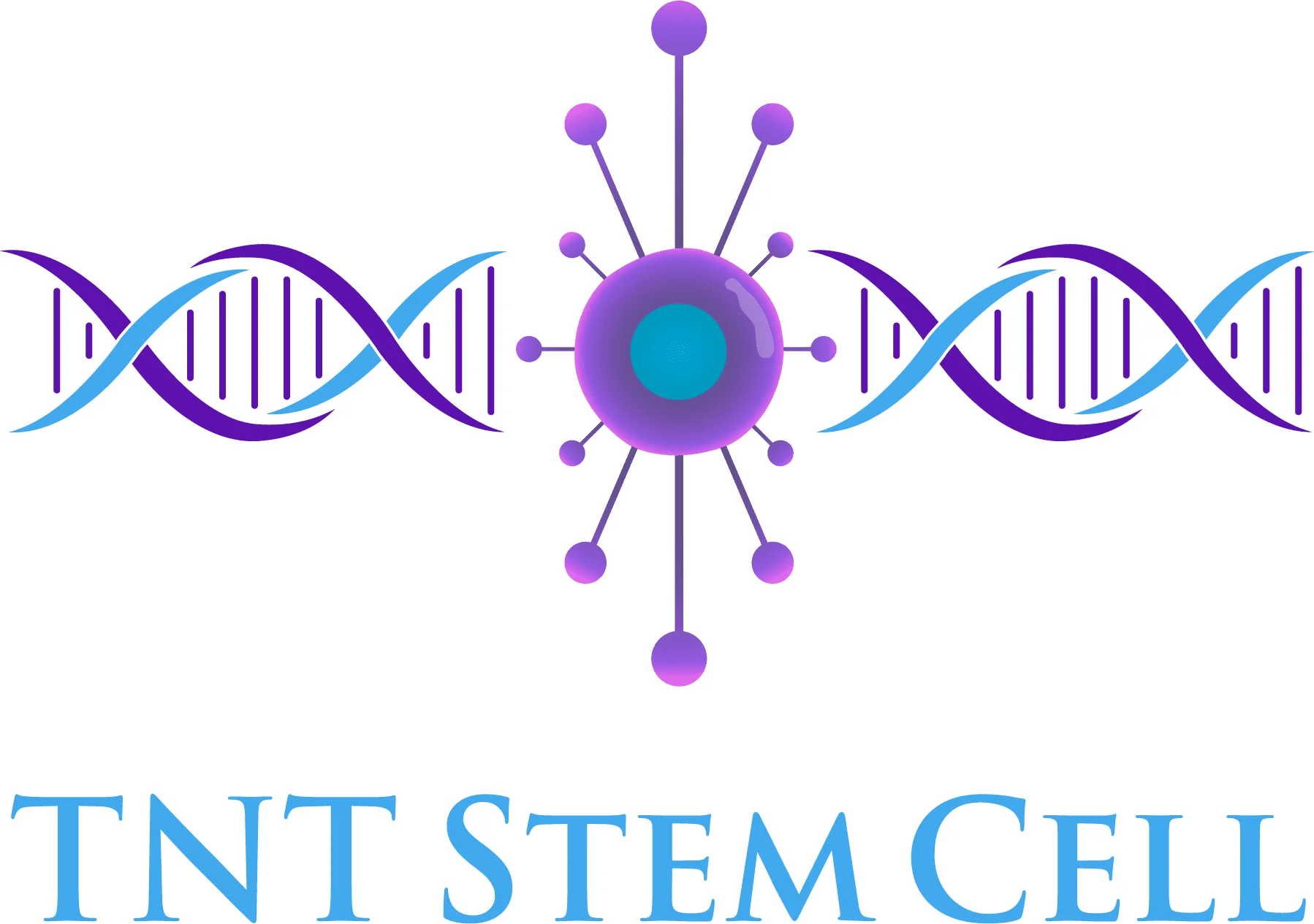 TNT Stem Cell logo