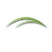 Tomorrow's Wellness Center logo