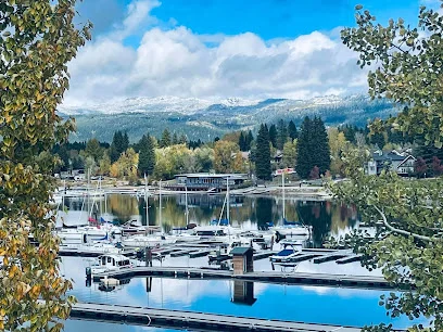 Vibrant Med Spa logo