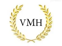 Vital Men's Health logo